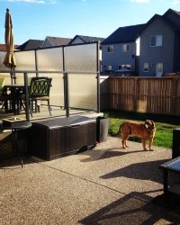 Beautiful home framing outlook